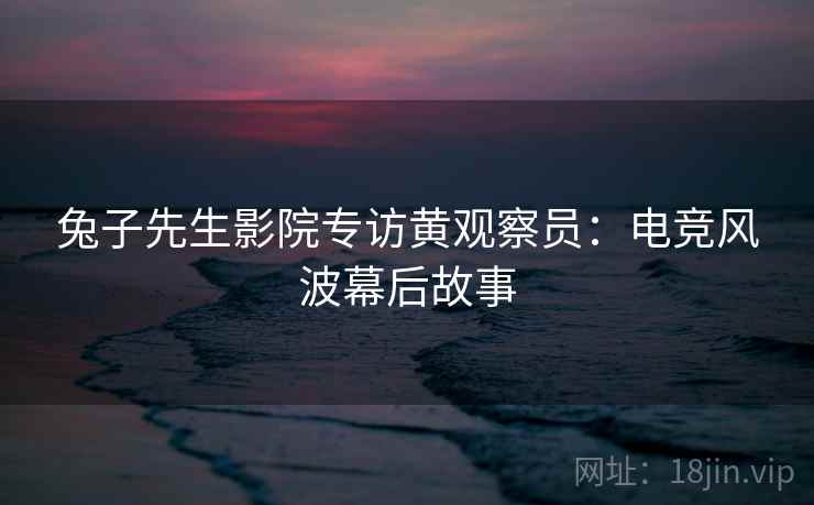 兔子先生影院专访黄观察员：电竞风波幕后故事