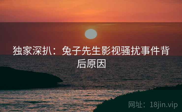 独家深扒：兔子先生影视骚扰事件背后原因