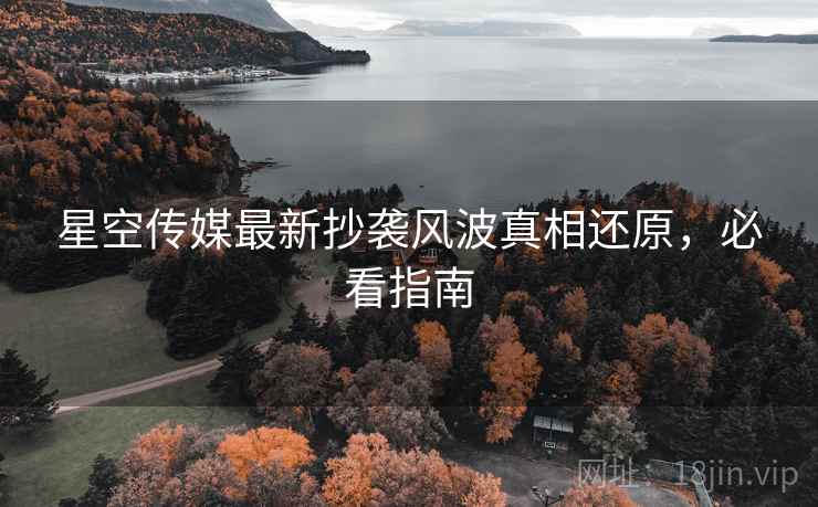 星空传媒最新抄袭风波真相还原，必看指南