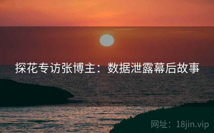 探花专访张博主：数据泄露幕后故事