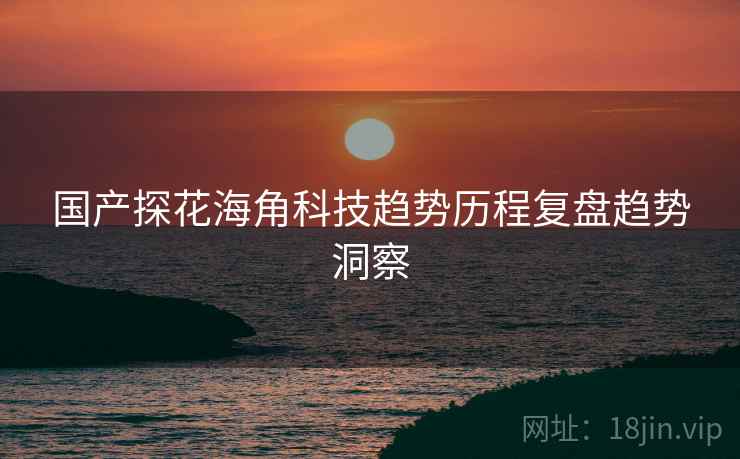 国产探花海角科技趋势历程复盘趋势洞察
