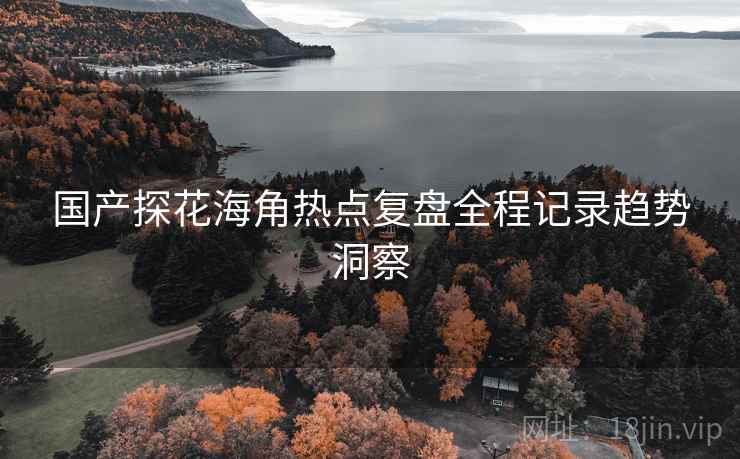 国产探花海角热点复盘全程记录趋势洞察