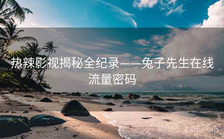 热辣影视揭秘全纪录——兔子先生在线流量密码