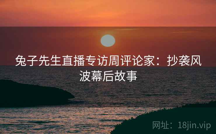 兔子先生直播专访周评论家：抄袭风波幕后故事