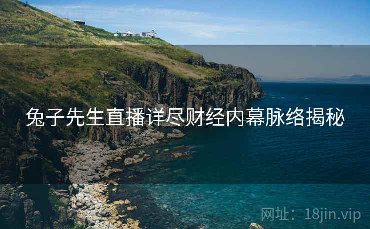 兔子先生直播详尽财经内幕脉络揭秘