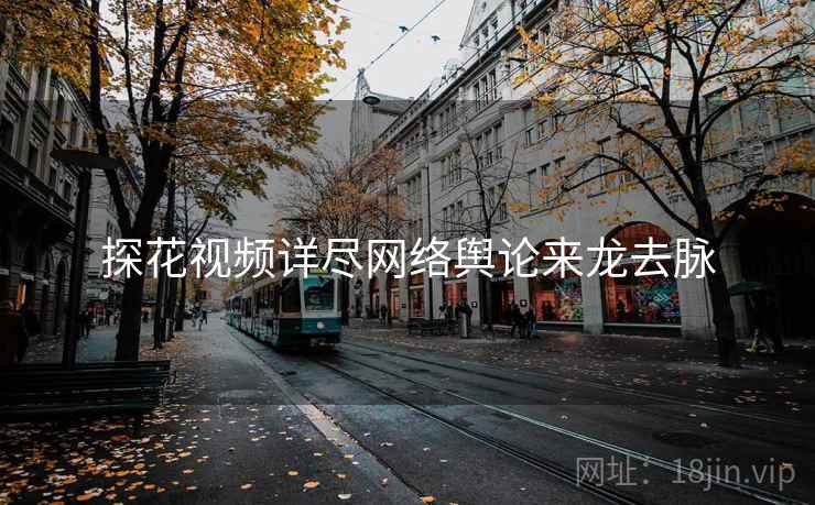 探花视频详尽网络舆论来龙去脉