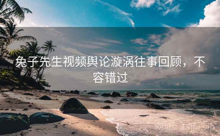 兔子先生视频舆论漩涡往事回顾，不容错过