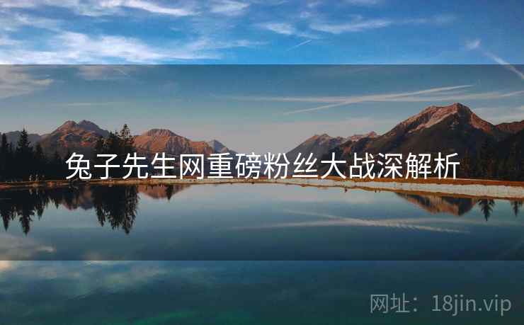 兔子先生网重磅粉丝大战深解析