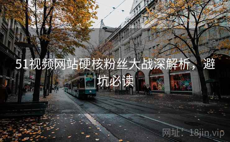 51视频网站硬核粉丝大战深解析，避坑必读