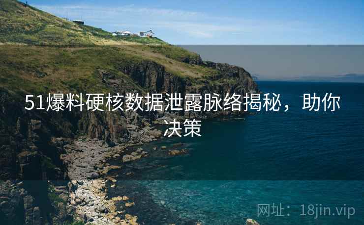 51爆料硬核数据泄露脉络揭秘，助你决策