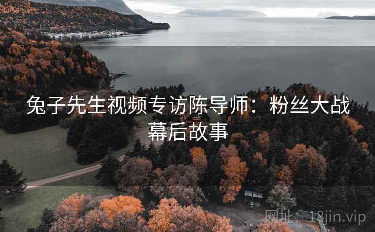 兔子先生视频专访陈导师：粉丝大战幕后故事