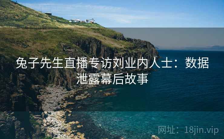 兔子先生直播专访刘业内人士：数据泄露幕后故事