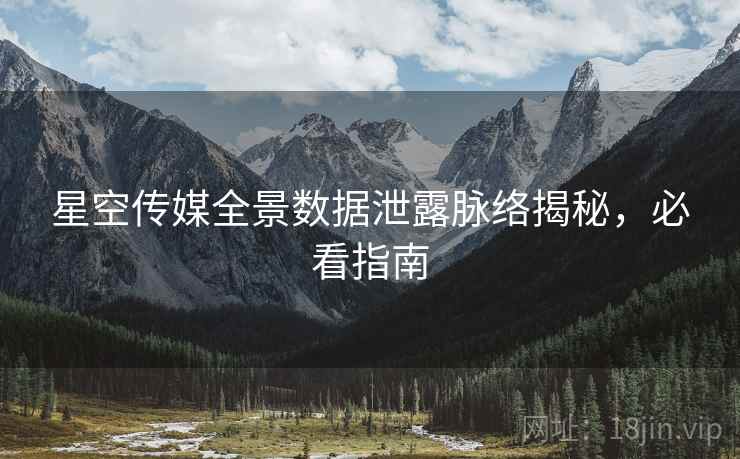 星空传媒全景数据泄露脉络揭秘，必看指南